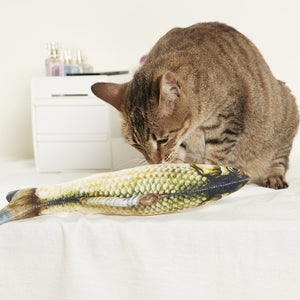 Juguete de pez para gato (2piezas)