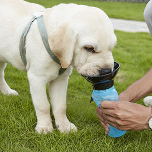 Botella de agua para mascotas de viaje