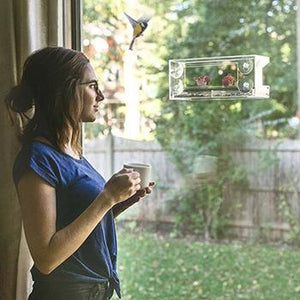 Alimentador de pájaros ventana : visualización clara de aves silvestres